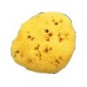 SPUGNA NAT FORI L 10/11CM 7             