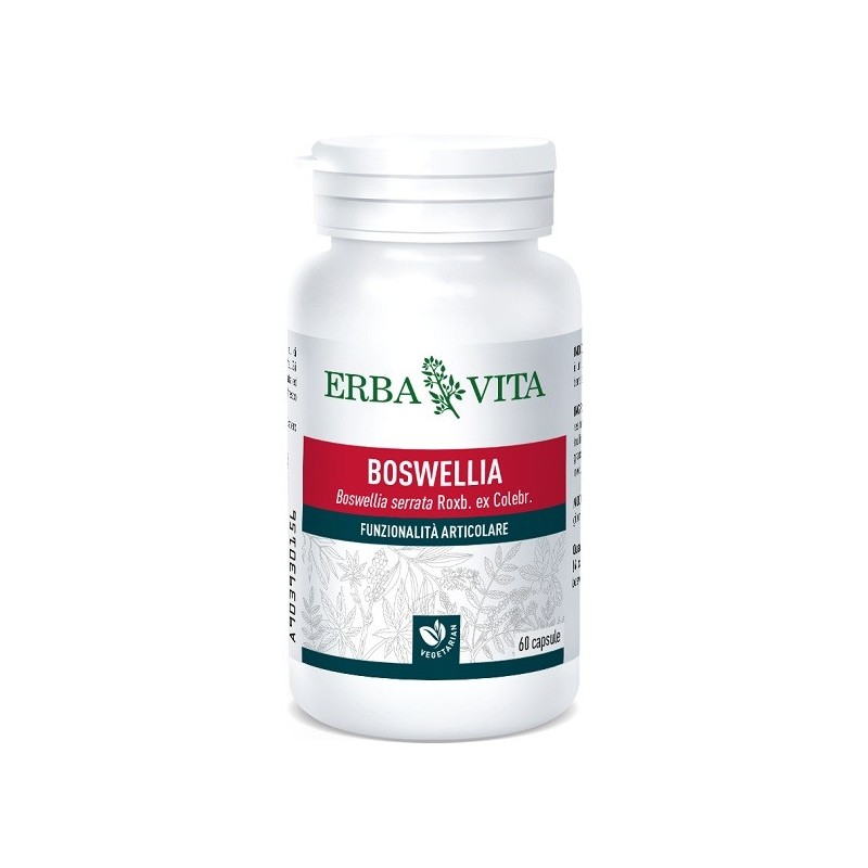 BOSWELLIA SERRATA 60 Capsule 400MG           