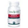 BOSWELLIA SERRATA 60 Capsule 400MG           