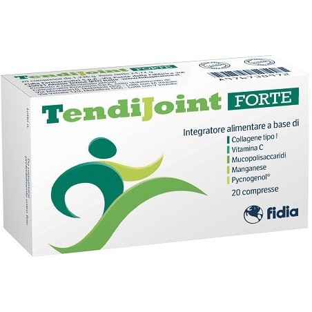TENDIJOINT FORTE 20 Compresse                  