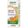 CALENDULA BOIRON EI 60ML                