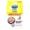SCHOLL  Cerotti CALLIF TRATT R/PROT          