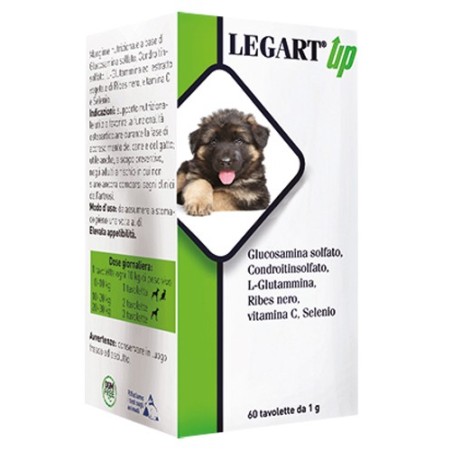 LEGART UP 60 Compresse                         