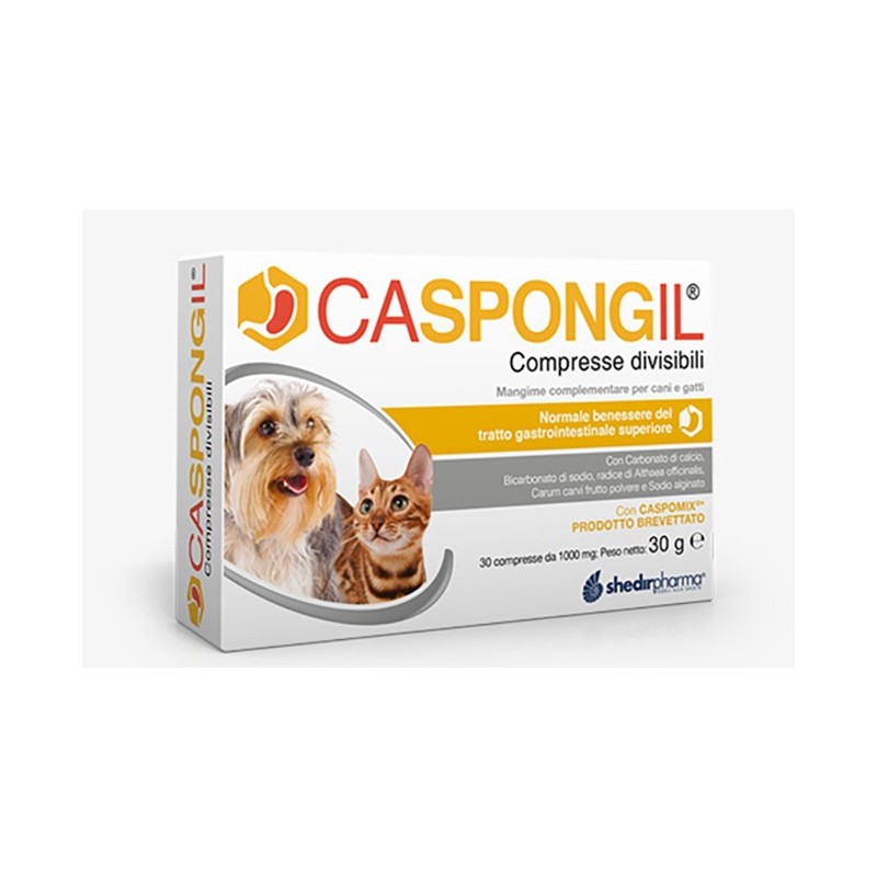 CASPONGIL 30 Compresse DIVISIBILI              