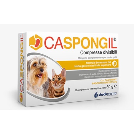 CASPONGIL 30 Compresse DIVISIBILI              