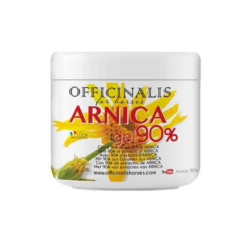 ARNICA GEL 90% 500ML                    