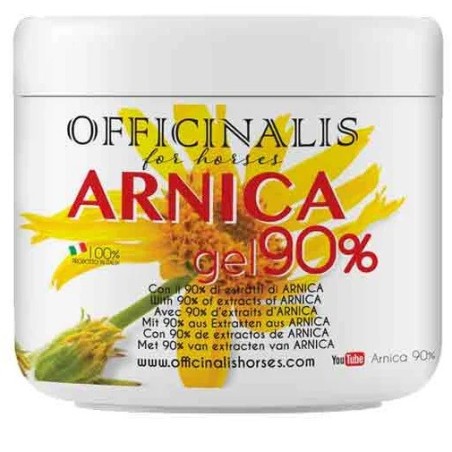 ARNICA GEL 90% 500ML                    