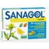SANAGOL GOLA VOCE S/Z LIM24CAR          