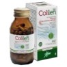 COLILEN IBS 96 Opercoli                       