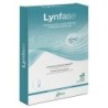 LYNFASE CONCENTRATO FLUIDO12 Flaconi          