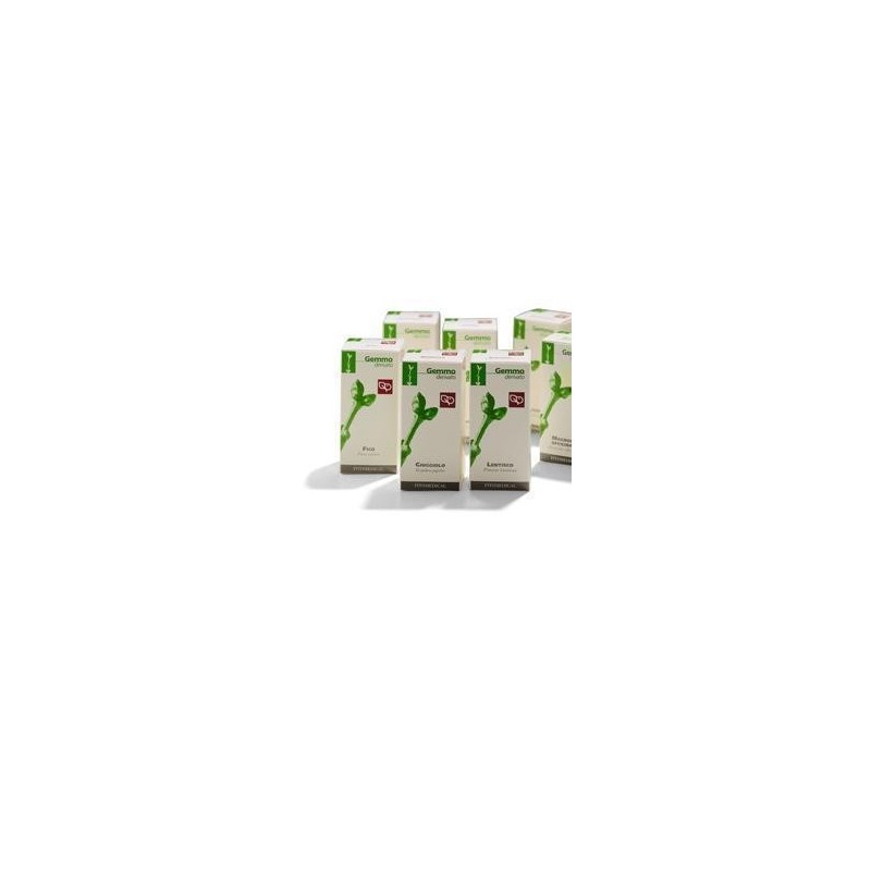 RIBES NERO MG 200ML                     