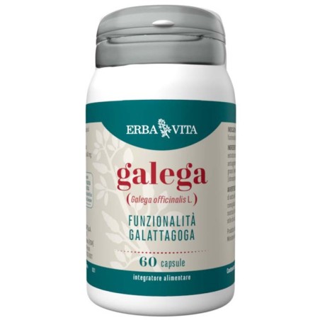 GALEGA 60 Capsule                            