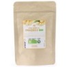 ZENZERO POLVERE BIO 100G                