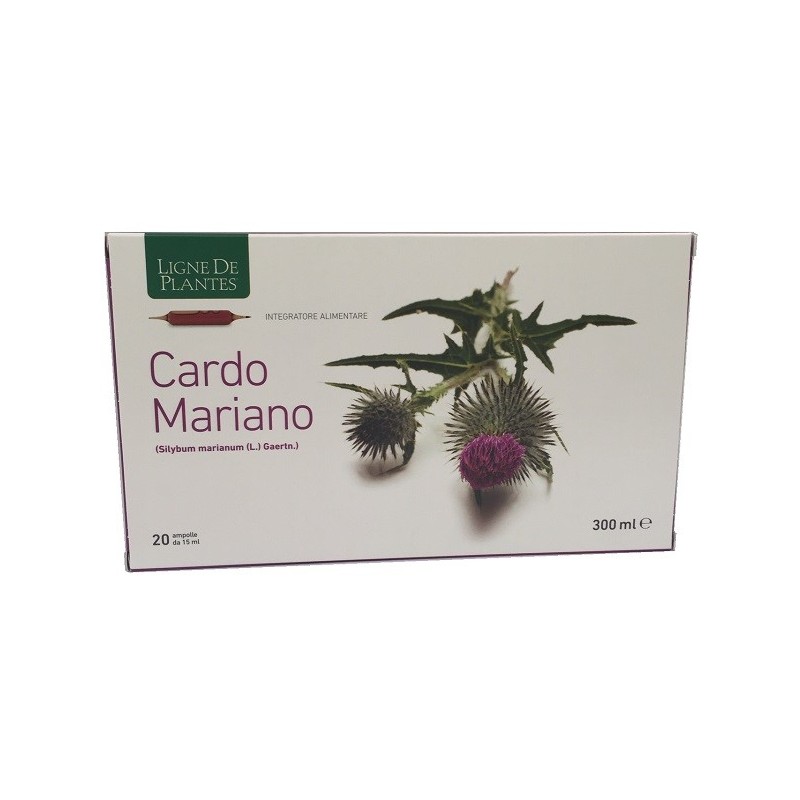 CARDO MARIANO 20AMPOLLE                 