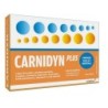 CARNIDYN PLUS 20 Bustine                    