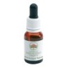 BLACK EYED SUSAN GOCCE 15ML             