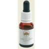 FRINGED VIOLET 15ML  Gocce                 