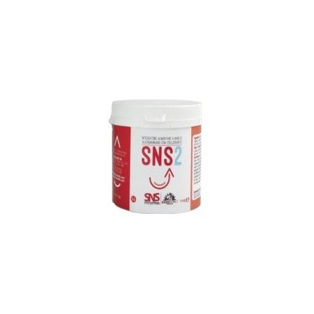 SNS2 100G                               