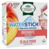 L\\\'ANGELICA WATERSTICK+ DREN             