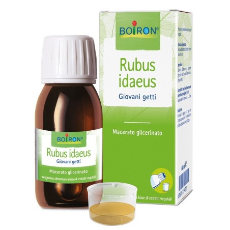 RUBUS IDAEUS BOIRON MG 60ML             