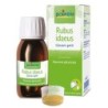 RUBUS IDAEUS BOIRON MG 60ML             