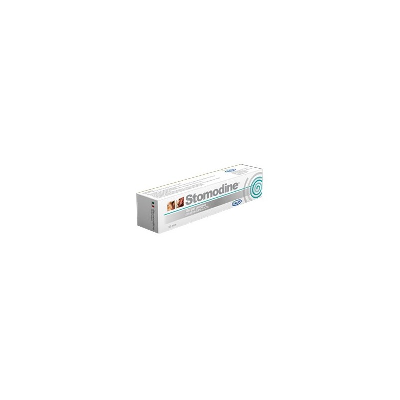 STOMODINE GEL GENG CANI 30ML            