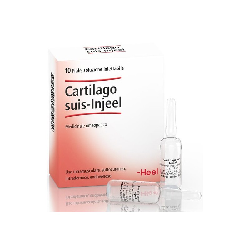 CARTILAGO SUIS INJ 10 Flaconi HEEL             