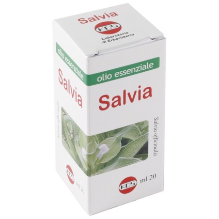 SALVIA OLIO ESSENZIALE 20ML             