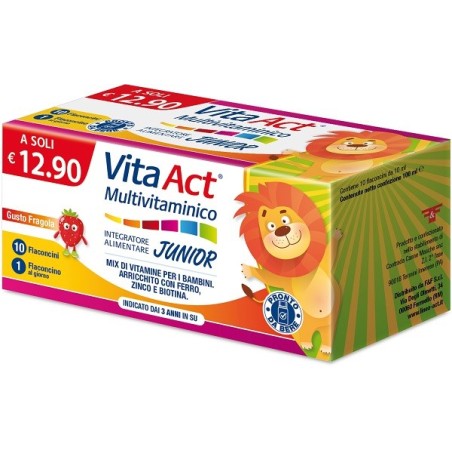 VITA ACT MULTIVITAMINICO J 10 Flaconi          