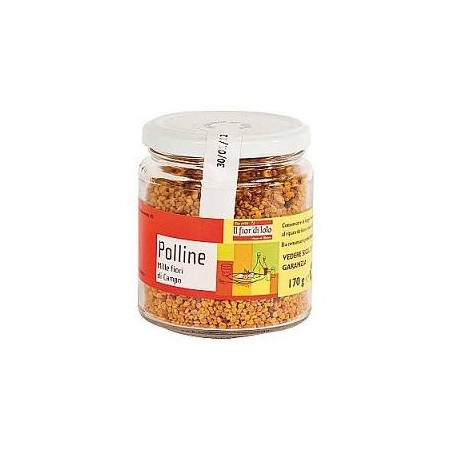 POLLINE 170G                            