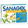 SANAGOL GOLA VOCE MIE LIM24CAR          