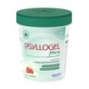 PSYLLOGEL FIBRA FRAGOLA VASO            