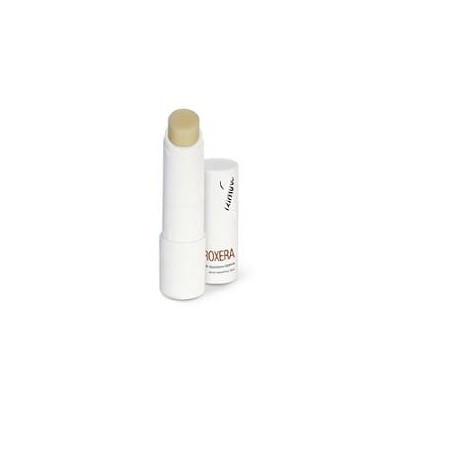 PROXERA STICK RIPARATOR LABBRA          