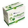 POLLAGEN 30 BUSTINE                     