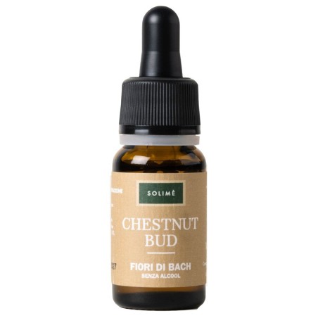 CHESTNUT BUD 10ML                       