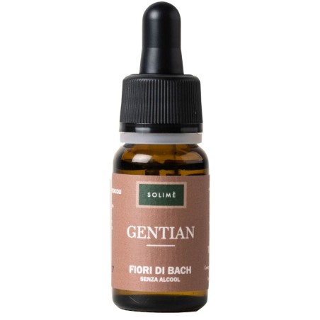 GENTIAN 10ML                            