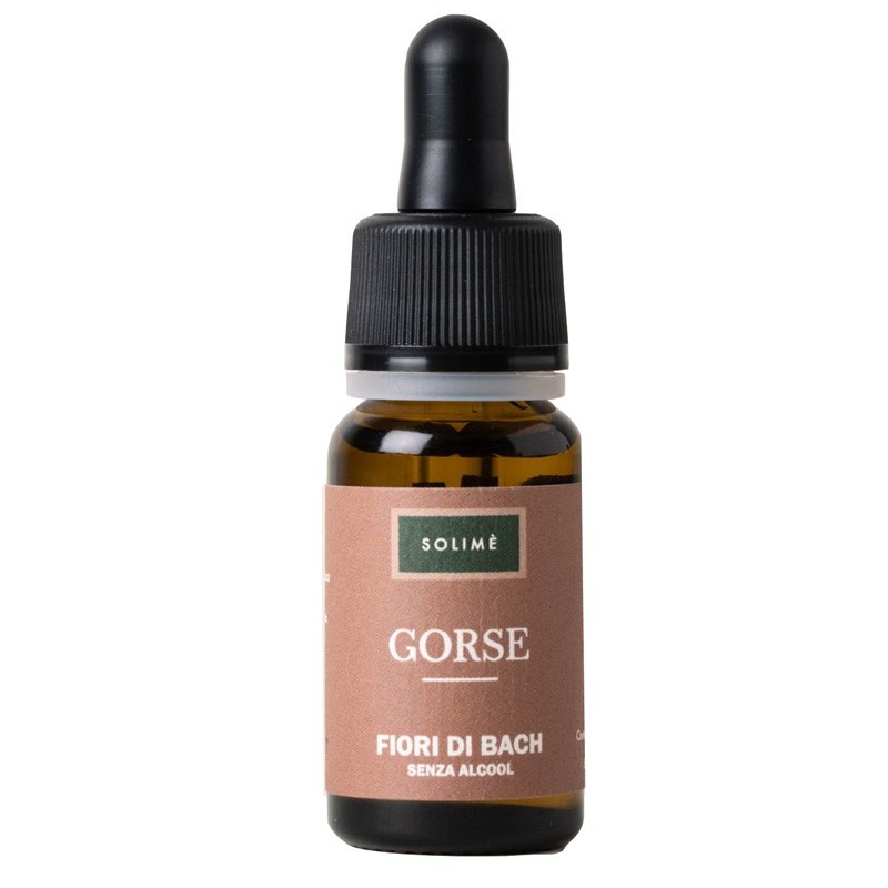 GORSE 10ML                              