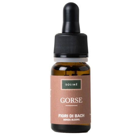 GORSE 10ML                              