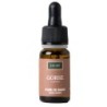 GORSE 10ML                              
