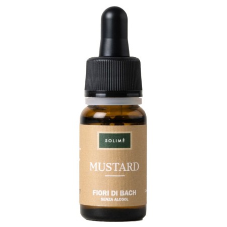 MUSTARD 10ML                            
