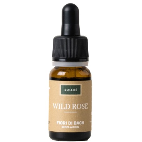 WILD ROSE 10ML                          