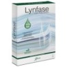 LYNFASE FITOMAGRA 12 Flaconi 15G              