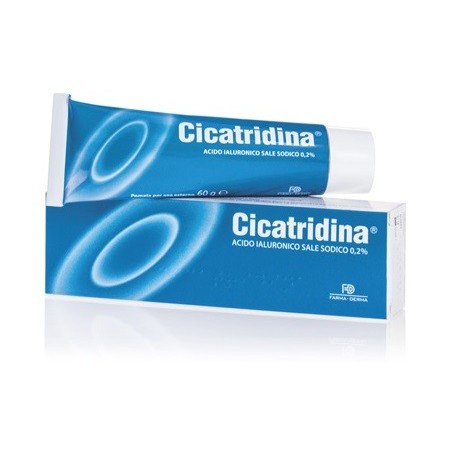 CICATRIDINA POMATA 60G                  