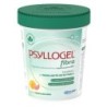 PSYLLOGEL FIBRA POMP ROSA 170G          