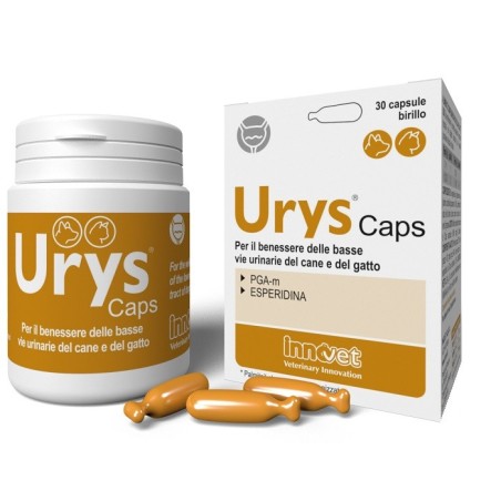 URYS CAPS 30 Capsule                         
